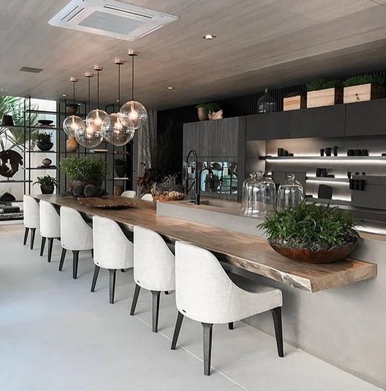 ¿Ya conoces Airbnb&nbsp;PLUS?